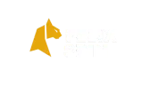 felixspin-logo-es
